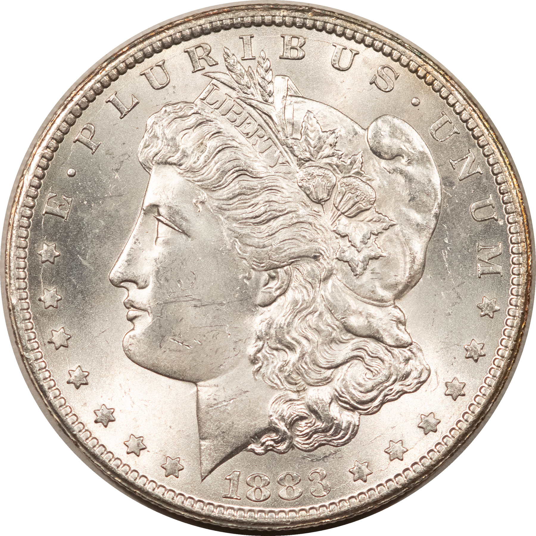 Dollars 1883-CC $1 MORGAN DOLLAR – WHITE CHOICE BRILLIANT UNCIRCULATED, CARSON CITY! Dollars 1883-CC $1 MORGAN DOLLAR – WHITE CHOICE BRILLIANT UNCIRCULATED, CARSON CITY!