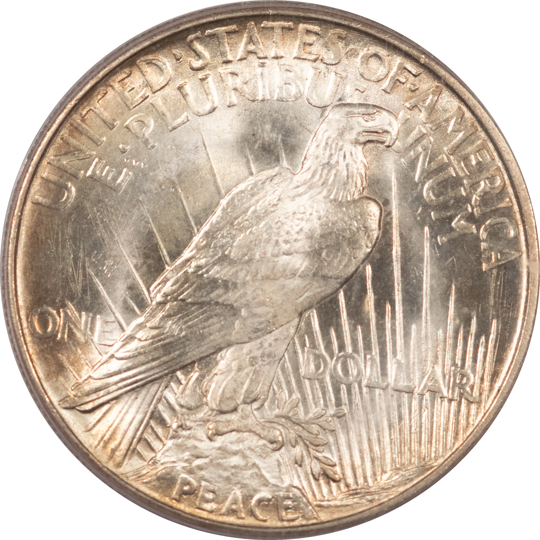 Dollars 1921 $1 PEACE DOLLAR – PCGS MS-64, LUSTROUS & PREMIUM QUALITY! Dollars 1921 $1 PEACE DOLLAR – PCGS MS-64, LUSTROUS & PREMIUM QUALITY!