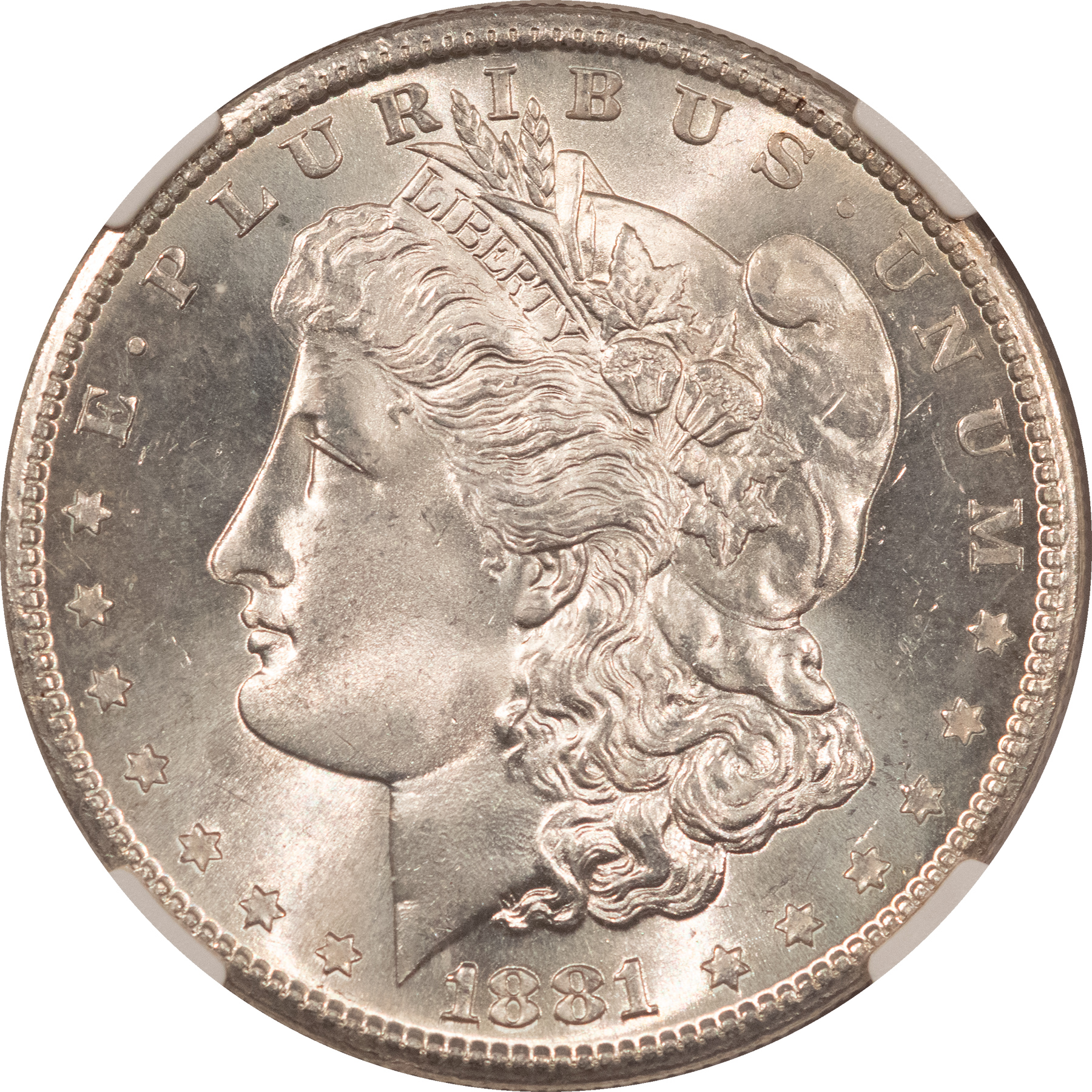 Morgan Dollars 1881-S MORGAN DOLLAR NGC MS-66, FRESH, WHITE & PREMIUM QUALITY! Morgan Dollars 1881-S MORGAN DOLLAR NGC MS-66, FRESH, WHITE & PREMIUM QUALITY!