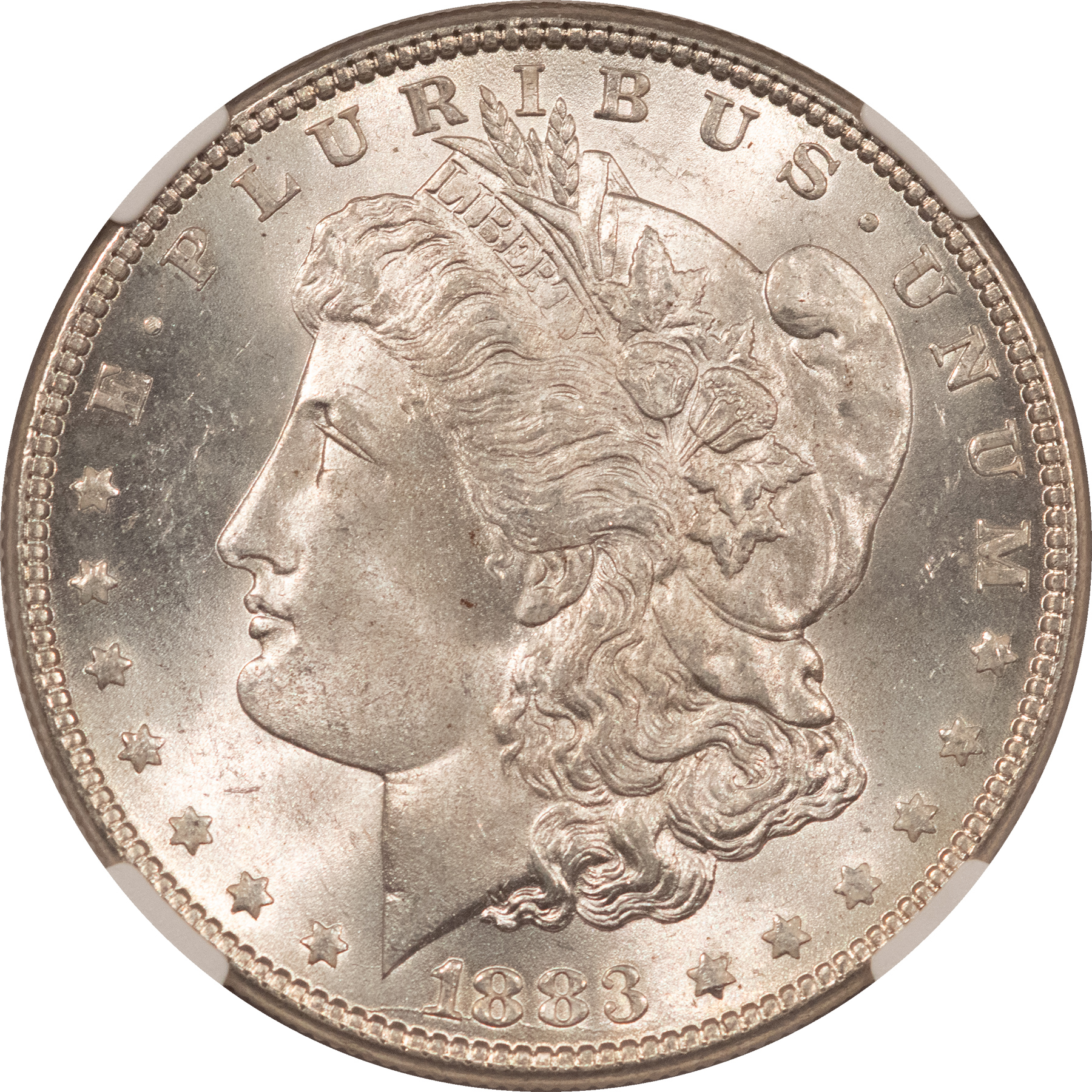 Morgan Dollars 1883 MORGAN DOLLAR NGC MS-65+, BLAST WHITE & PREMIUM QUALITY! Morgan Dollars 1883 MORGAN DOLLAR NGC MS-65+, BLAST WHITE & PREMIUM QUALITY!
