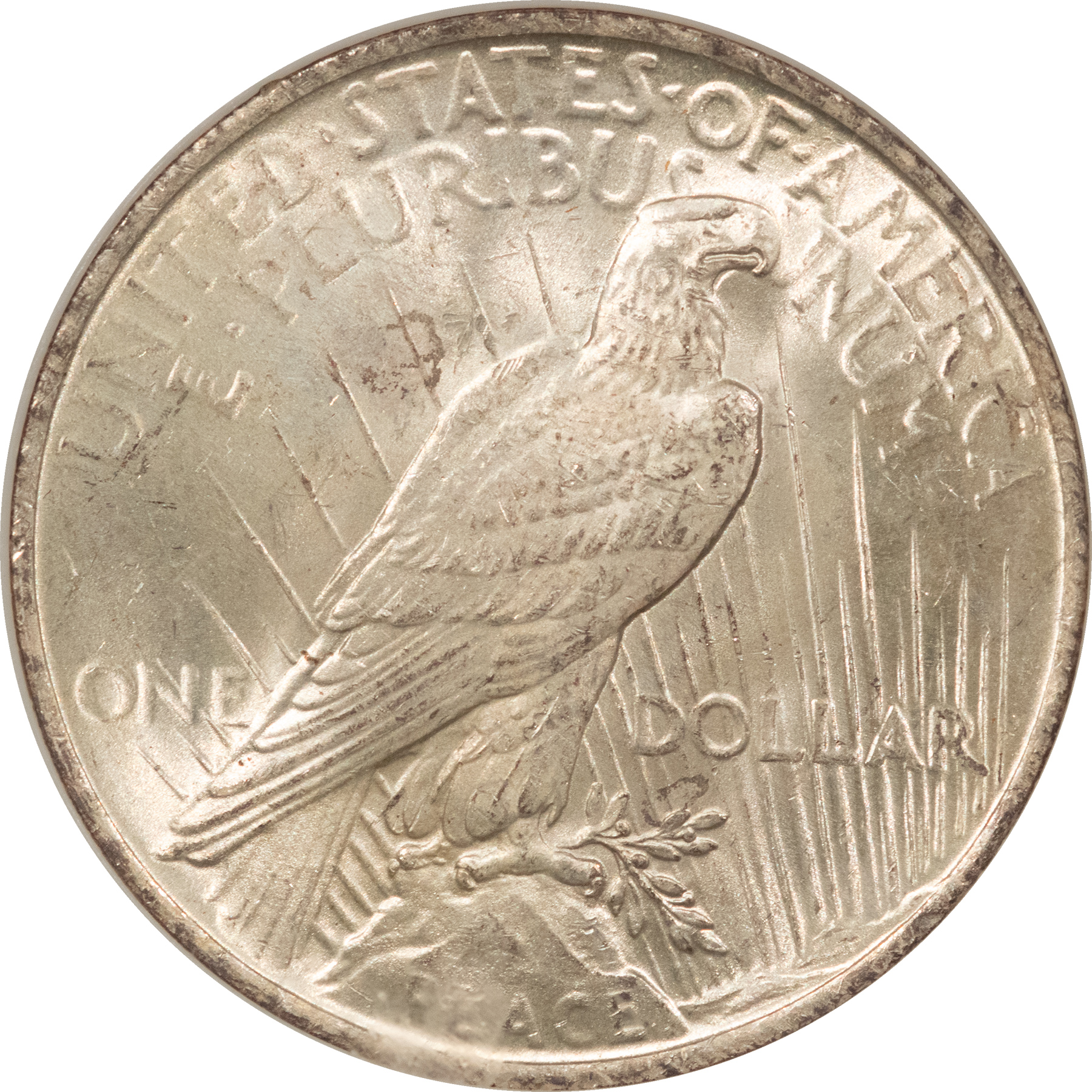 Dollars 1923 $1 PEACE DOLLAR – NGC MS-63 FATTIE HOLDER, FRESH & SUPER PREMIUM QUALITY! Dollars 1923 $1 PEACE DOLLAR – NGC MS-63 FATTIE HOLDER, FRESH & SUPER PREMIUM QUALITY!