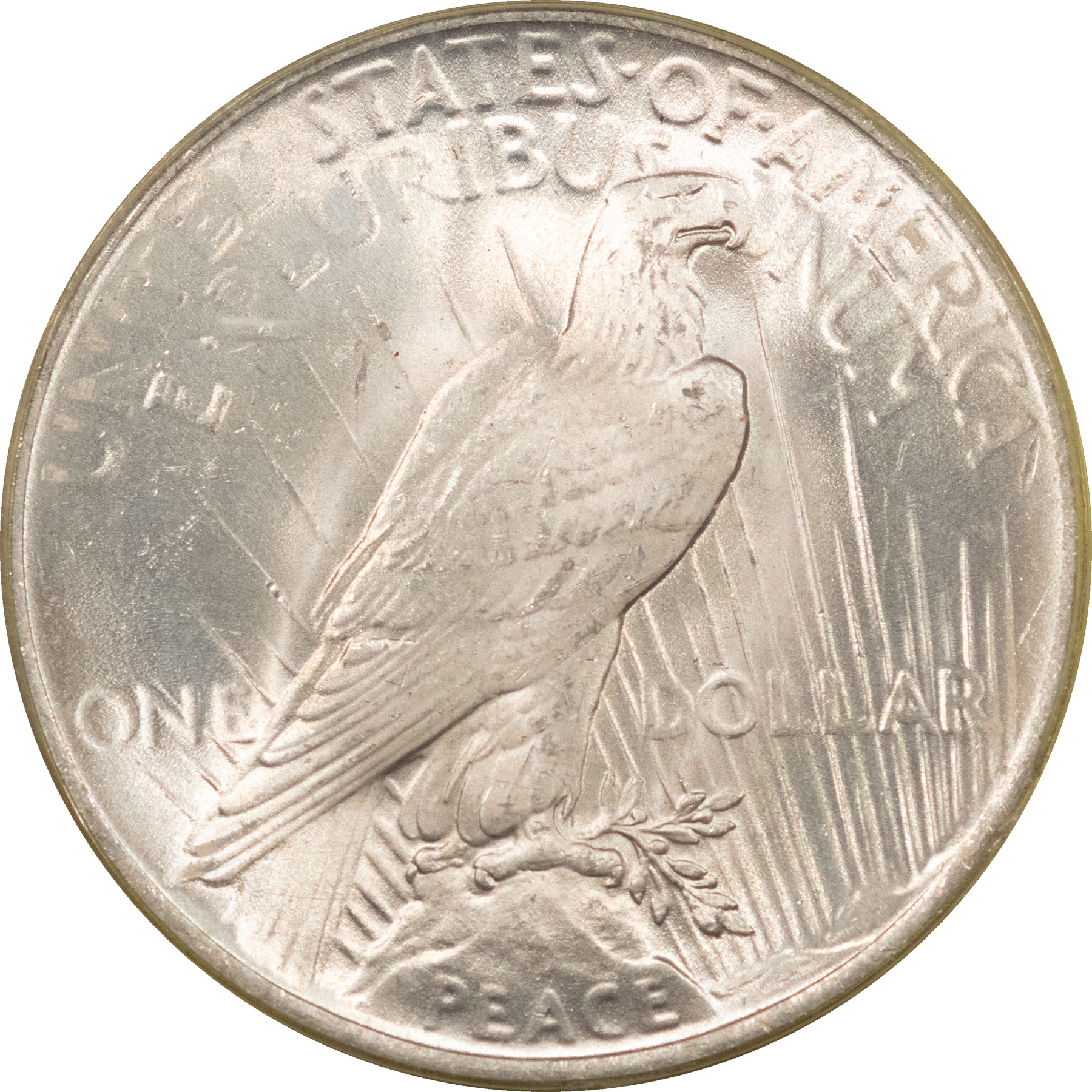 Dollars 1923 $1 PEACE DOLLAR – PCGS MS-64, OLD GREEN HOLDER, FRESH & PREMIUM QUALITY+! Dollars 1923 $1 PEACE DOLLAR – PCGS MS-64, OLD GREEN HOLDER, FRESH & PREMIUM QUALITY+!